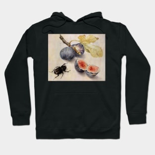 Giovanna Garzoni - Beetle and Figs Hoodie